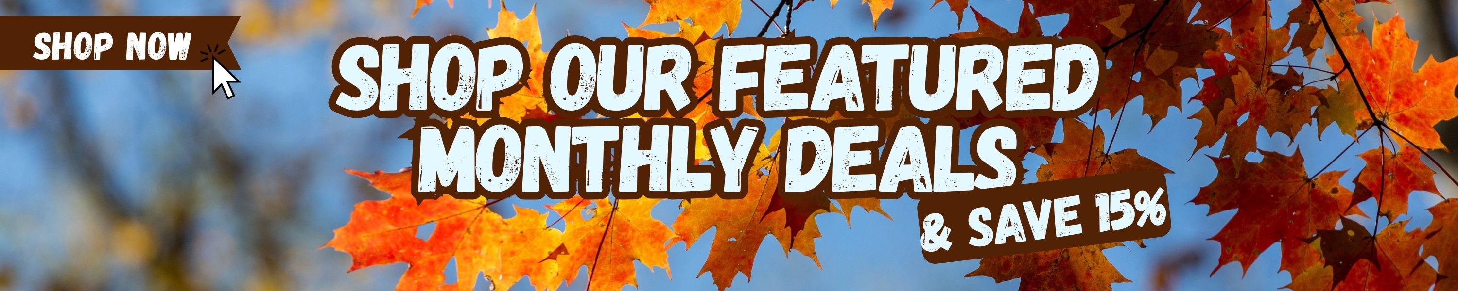 Shop our monthly deals and save 15% banner